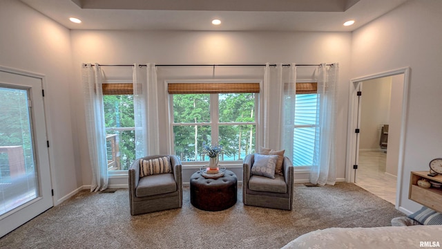 2940 Parrish Rdg, Goreville, IL 62939 - living area with carpet floors and recessed lighting