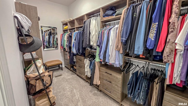 2940 Parrish Rdg, Goreville, IL 62939 - walk in closet featuring carpet