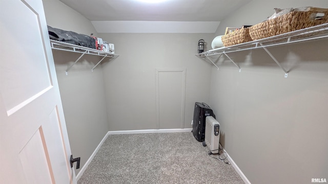 2940 Parrish Rdg, Goreville, IL 62939 - spacious closet featuring carpet floors