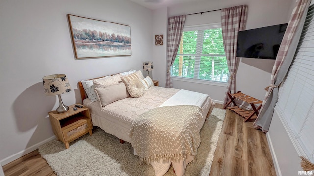 2940 Parrish Rdg, Goreville, IL 62939 - bedroom with light wood-type flooring and baseboards