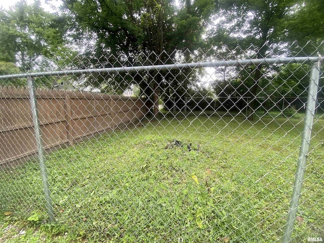 211 Charles St, Benton, IL 62812 - view of yard