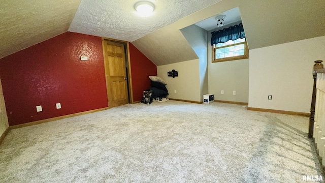 2209 Cedar Hill Rd, West Frankfort, IL 62896 - bonus room featuring a textured ceiling, lofted ceiling, and carpet floors