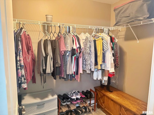 5024 Rosebud Rd, Metropolis, IL 62960 - view of walk in closet