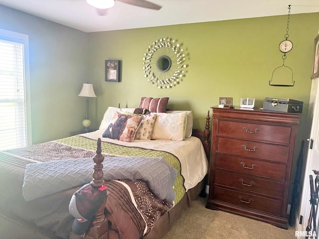5024 Rosebud Rd, Metropolis, IL 62960 - view of carpeted bedroom