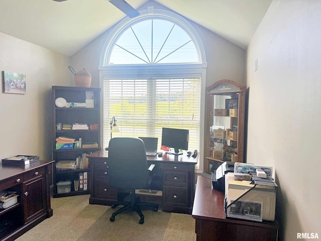 5024 Rosebud Rd, Metropolis, IL 62960 - office featuring lofted ceiling and light carpet