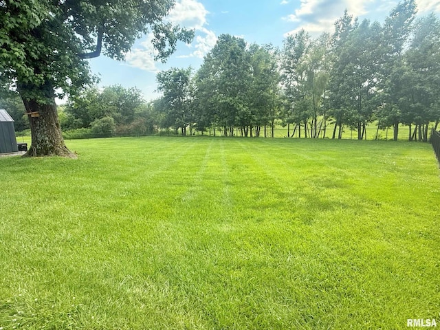 5024 Rosebud Rd, Metropolis, IL 62960 - view of grassy yard