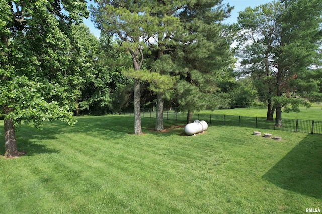 5024 Rosebud Rd, Metropolis, IL 62960 - view of yard