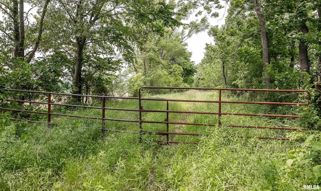 3485 Coyle Ln, Equality, IL 62934