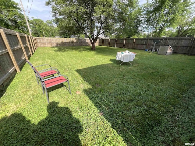 1323 Cedar St, Centralia, IL 62801 - view of fenced backyard