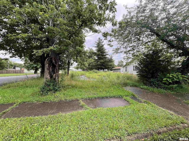 218 E Elm St, Zeigler, IL 62999
