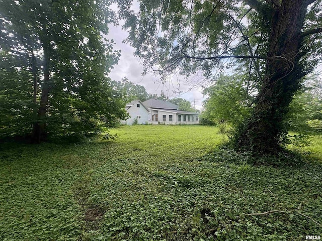 809 Highland St, Benton, IL 62812 - view of green lawn