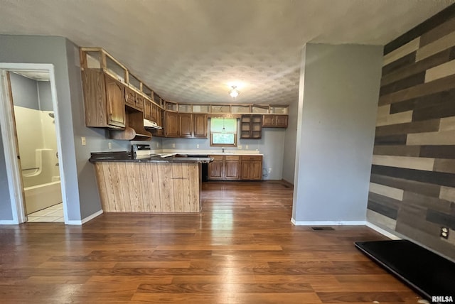20 Suburban Dr, Murphysboro, IL 62966 - kitchen featuring a peninsula, range, dark wood finished floors, and dark countertops