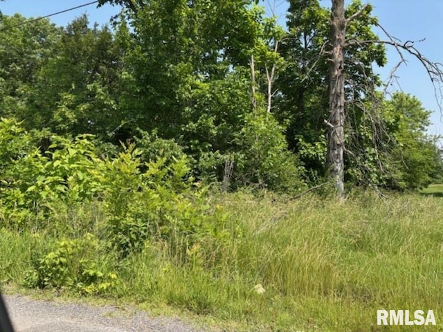 TBD Penco Ave, Centralia, IL 62801 - photo 2