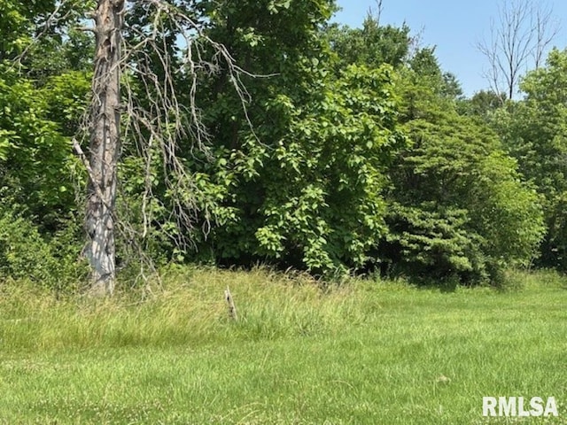 TBD Penco Ave, Centralia, IL 62801 - photo 3