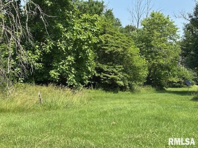 TBD Penco Ave, Centralia, IL 62801 - photo 4