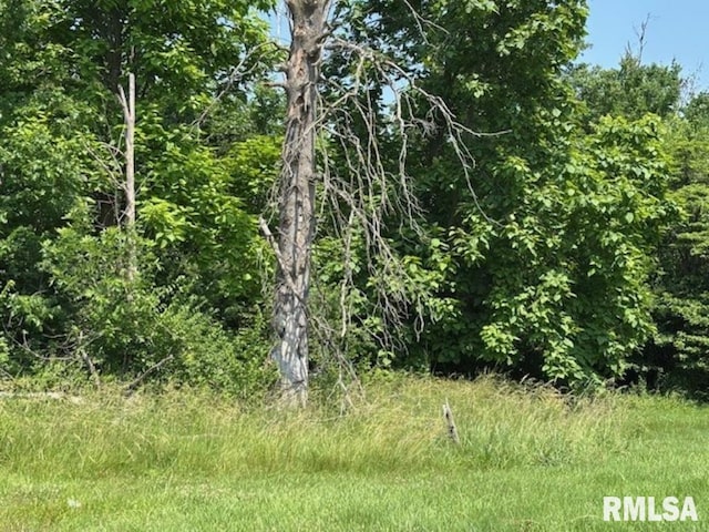 TBD Penco Ave, Centralia, IL 62801 - photo 5