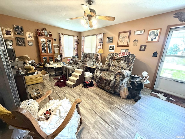 1313 N State St, Marion, IL 62959 - living room featuring wood finished floors and a ceiling fan