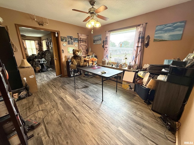 1313 N State St, Marion, IL 62959 - office area with wood finished floors, a ceiling fan, plenty of natural light, and a textured ceiling