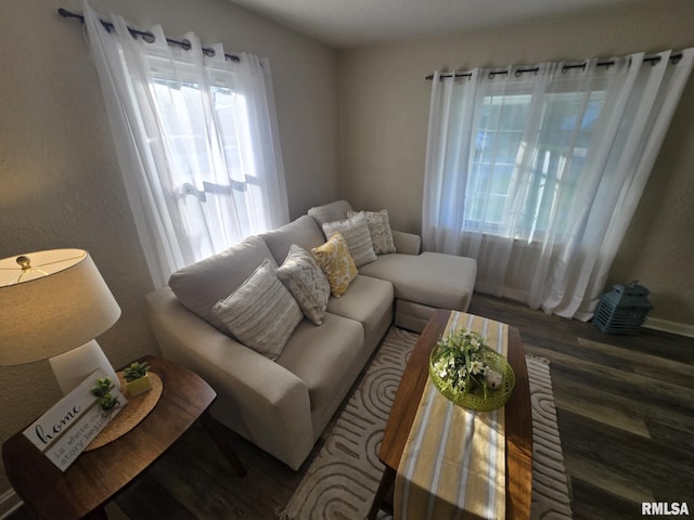 2805 College St, Mount Vernon, IL 62864 - living room with wood finished floors and a textured wall