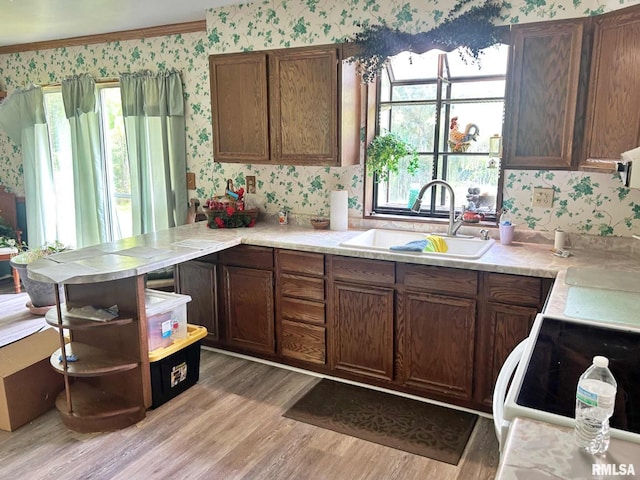 27 Grasty Rd, Golconda, IL 62938 - photo 16