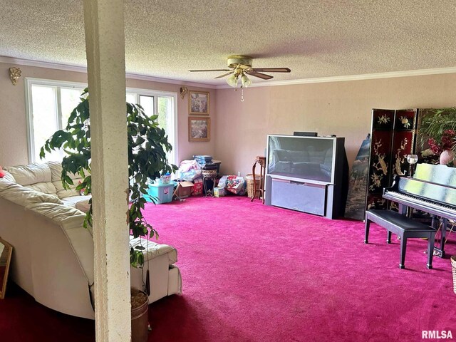 27 Grasty Rd, Golconda, IL 62938 - photo 21