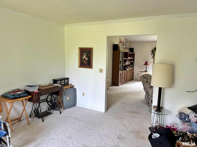 27 Grasty Rd, Golconda, IL 62938 - photo 29