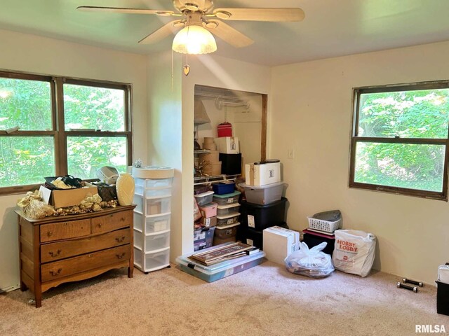 27 Grasty Rd, Golconda, IL 62938 - photo 35