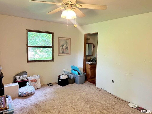 27 Grasty Rd, Golconda, IL 62938 - photo 36
