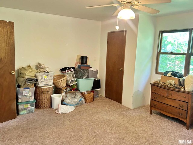 27 Grasty Rd, Golconda, IL 62938 - photo 37