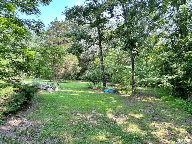 27 Grasty Rd, Golconda, IL 62938 - photo 44