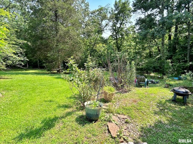 27 Grasty Rd, Golconda, IL 62938 - photo 45