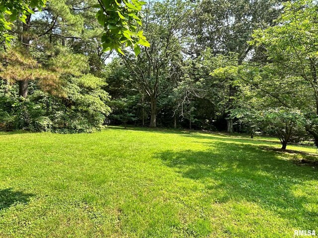 27 Grasty Rd, Golconda, IL 62938 - photo 46