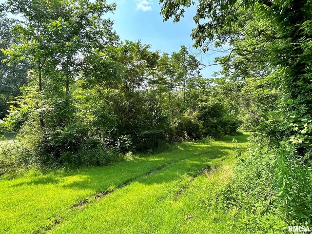 27 Grasty Rd, Golconda, IL 62938 - photo 51