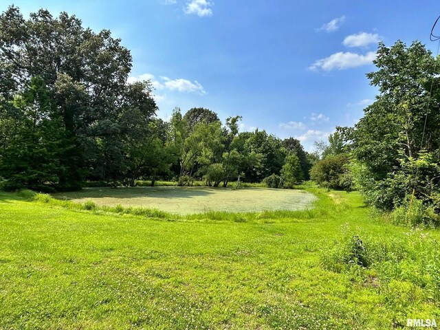 27 Grasty Rd, Golconda, IL 62938 - photo 53