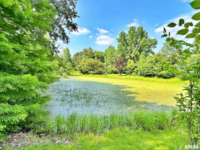 27 Grasty Rd, Golconda, IL 62938 - photo 54
