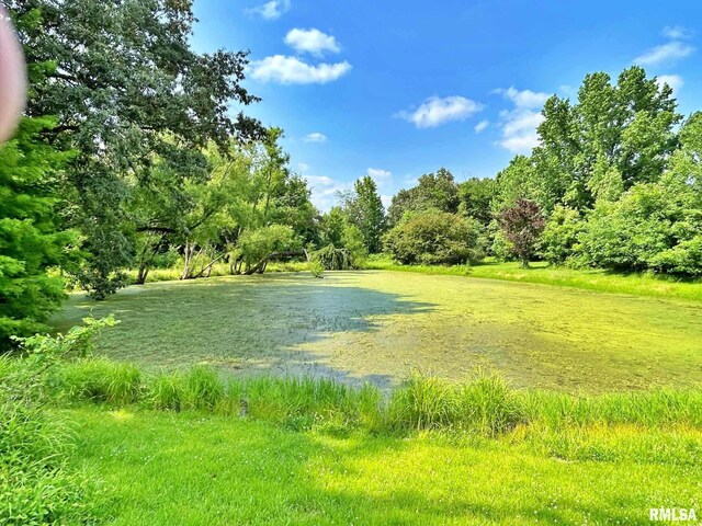 27 Grasty Rd, Golconda, IL 62938 - photo 8
