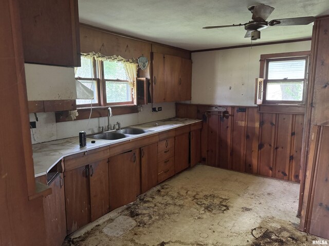 207 S Roosevelt St, Elkville, IL 62932 - photo 7