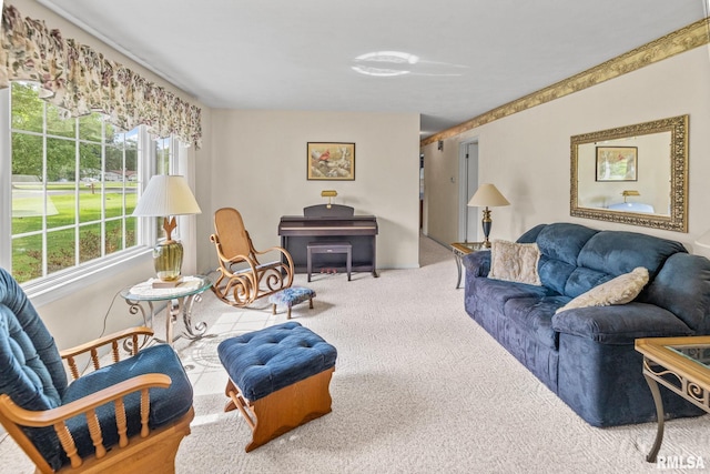 10 Monroe Ave, Salem, IL 62881 - living area with carpet flooring