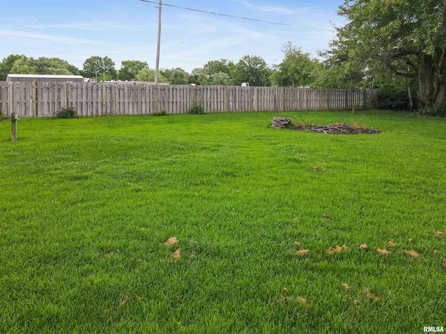 809 Dogwood Ln, Marion, IL 62959 - view of yard