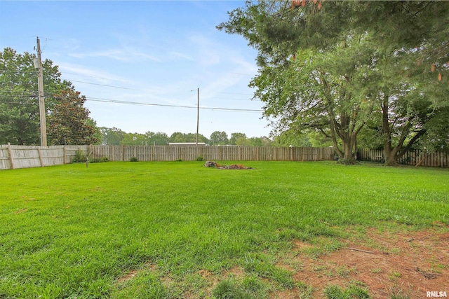 809 Dogwood Ln, Marion, IL 62959 - view of fenced backyard