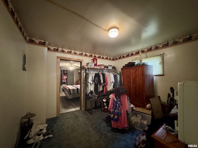 606 N Orchard St, West Frankfort, IL 62896 - spacious closet with carpet flooring