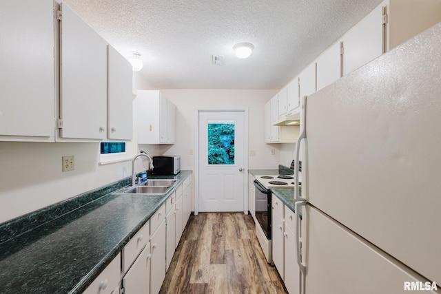 880 State Route 166, Creal Springs, IL 62922 - kitchen with white appliances, light wood-style floors, white cabinetry, under cabinet range hood, and a textured ceiling