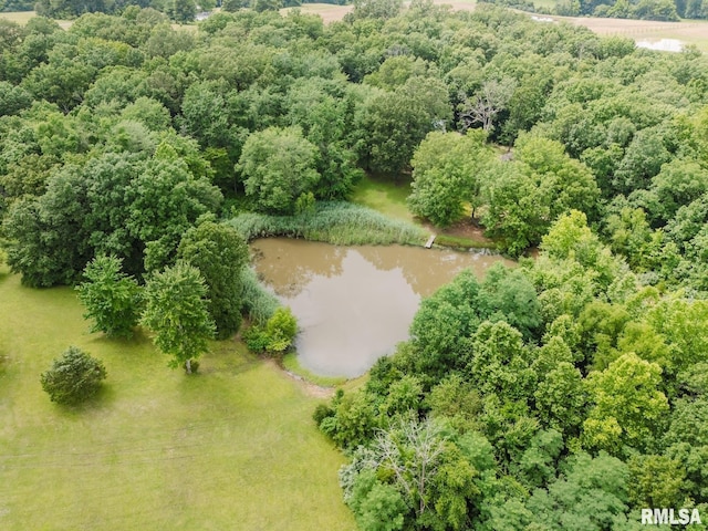 880 State Route 166, Creal Springs, IL 62922 - drone / aerial view of a large body of water
