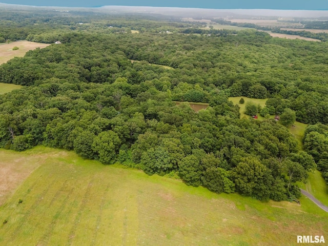 880 State Route 166, Creal Springs, IL 62922 - drone / aerial view of a forest