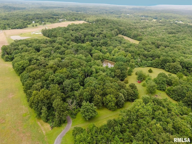 880 State Route 166, Creal Springs, IL 62922 - bird's eye view of a heavily wooded area