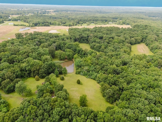 880 State Route 166, Creal Springs, IL 62922 - aerial view of a forest and a nearby body of water