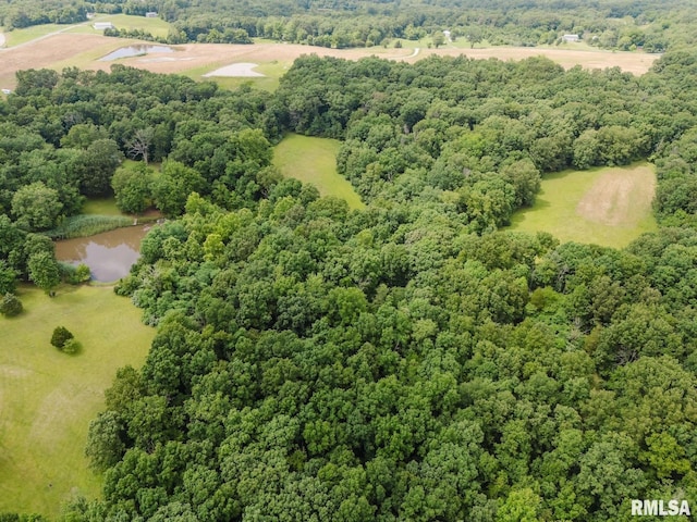 880 State Route 166, Creal Springs, IL 62922 - bird's eye view of a forest