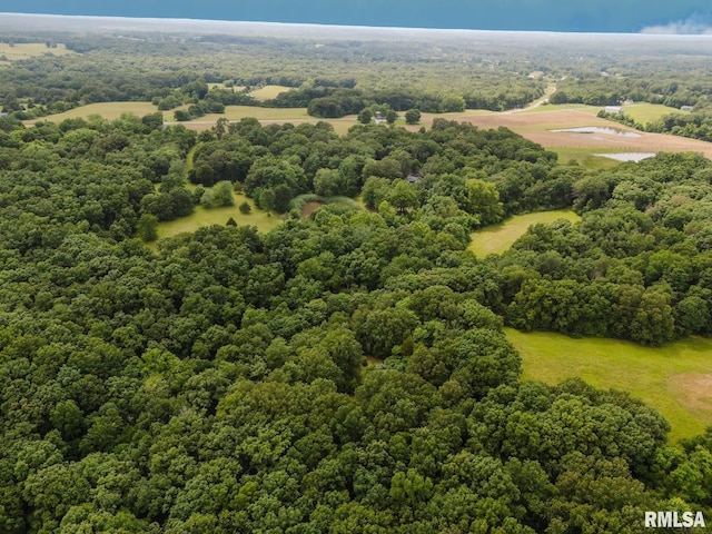 880 State Route 166, Creal Springs, IL 62922 - drone / aerial view of a heavily wooded area
