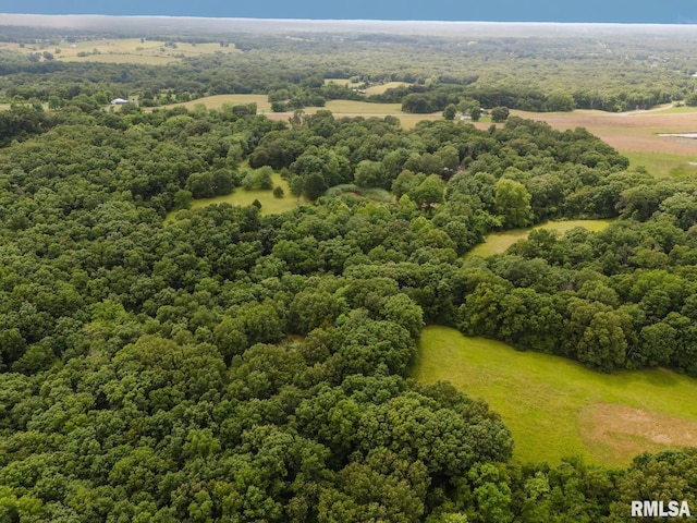 880 State Route 166, Creal Springs, IL 62922 - aerial view of a forest