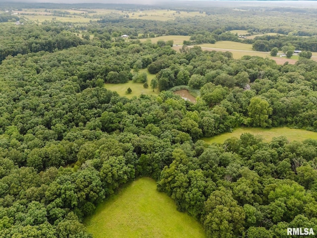 880 State Route 166, Creal Springs, IL 62922 - bird's eye view of a heavily wooded area